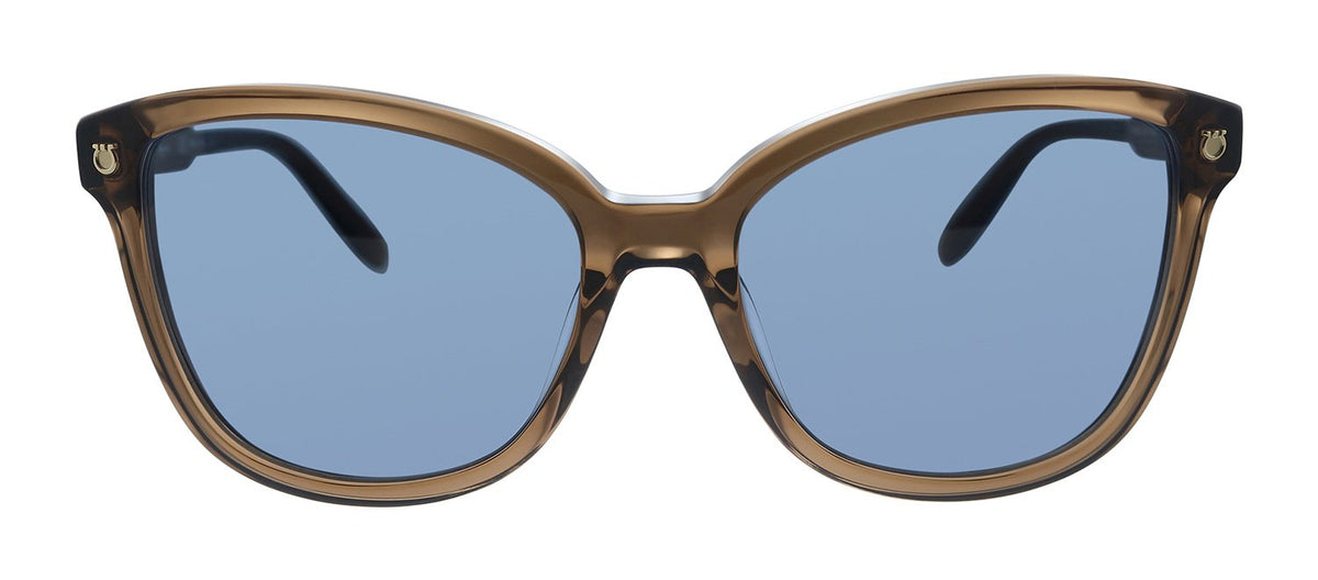 Ferragamo SF 815S 210 Square Sunglasses - Brown