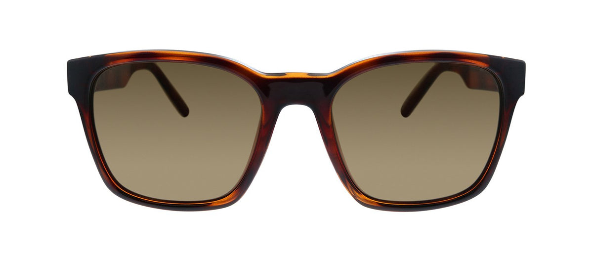 Ferragamo SF 959S 214 Square Sunglasses - Tortoise