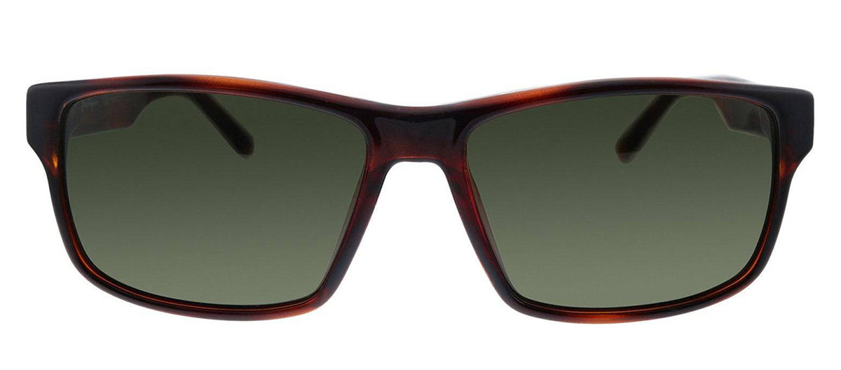 Ferragamo SF960S 214 Rectangle Sunglasses - Havana