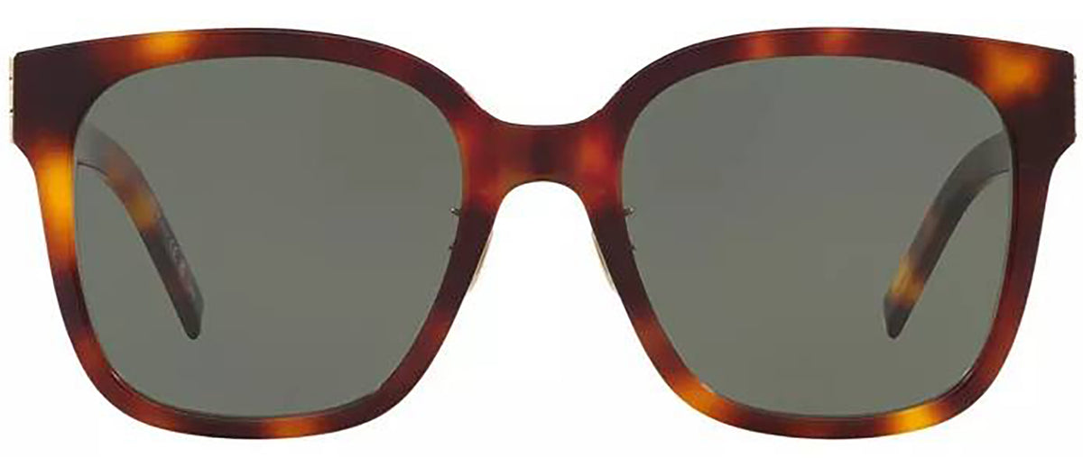 Saint Laurent SL M105/F 003 Square Sunglasses - Havana