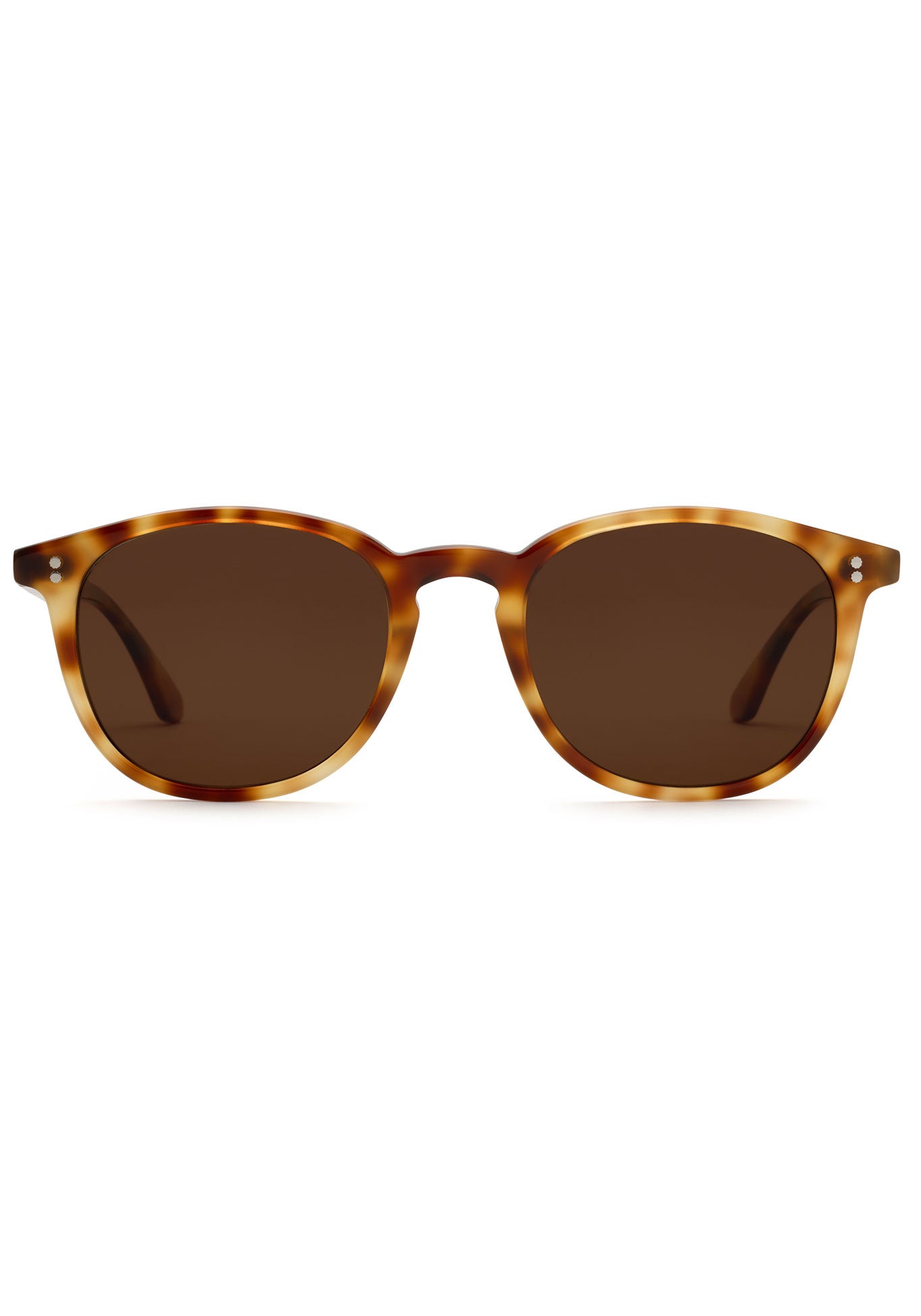 ALVIN | Hawksbill Polarized