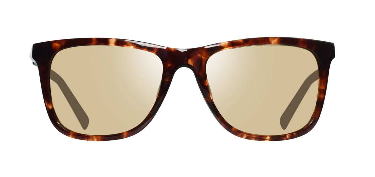 Revo RE 1164 02 CH COVE JS Square Polarized Sunglasses - Tortoise