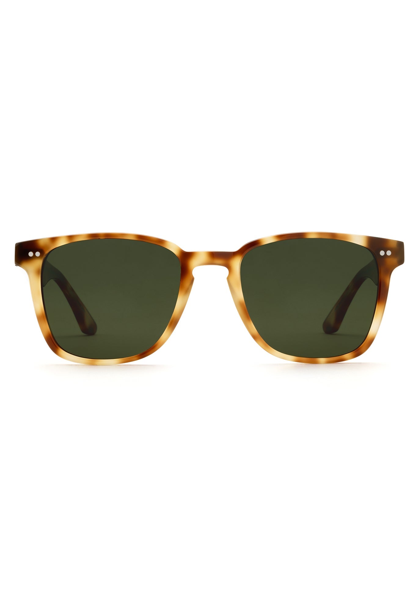 VINDEL | Hawksbill Polarized