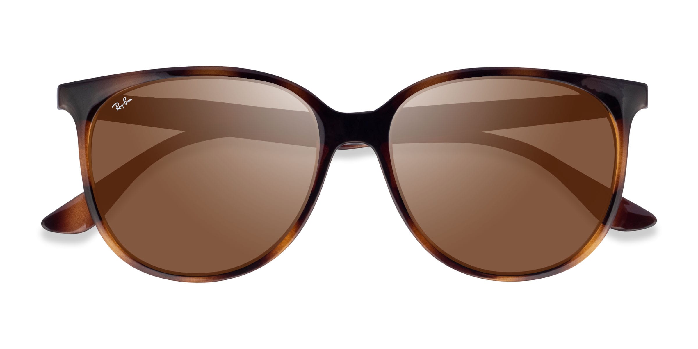 Ray-Ban RB4378 - Round Tortoise Frame Sunglasses For Women